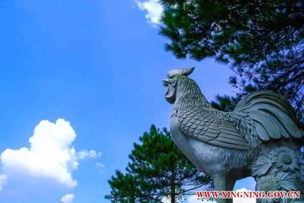 雞鳴山.webp.jpg