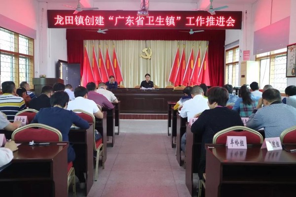龍?zhí)镦?zhèn)創(chuàng)建“廣東省衛(wèi)生鎮(zhèn)”工作推進會.jpg