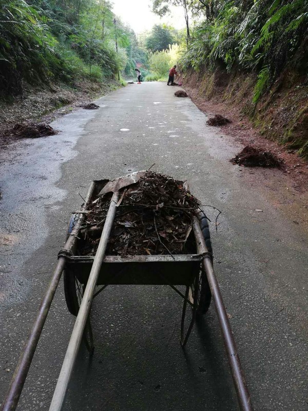 大坪鎮(zhèn).jpg