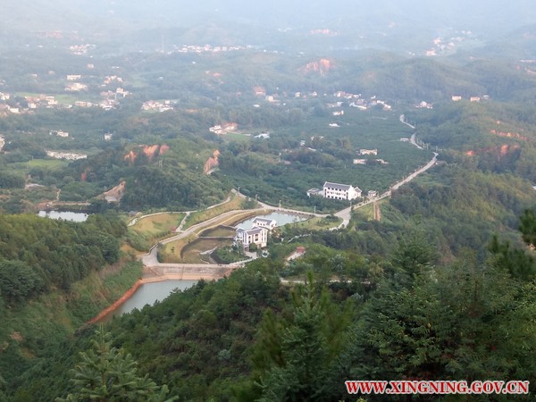 柚園全景.jpg