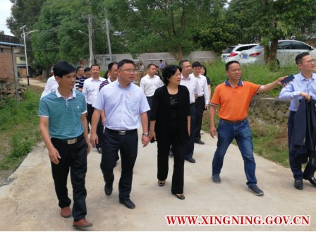 保利集團(tuán)宋廣菊一行到雙頭村考察脫貧成效1.png