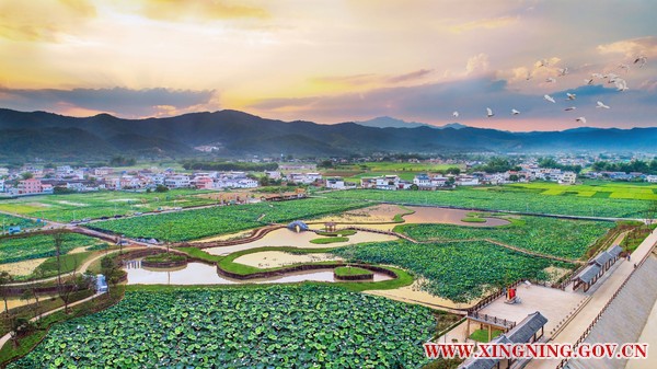 微信圖片_20190712085044.jpg