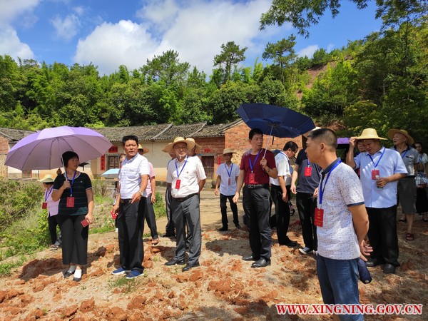 新圩鎮(zhèn)人大組織代表調(diào)研鄉(xiāng)村振興建設(shè)工作1.jpg