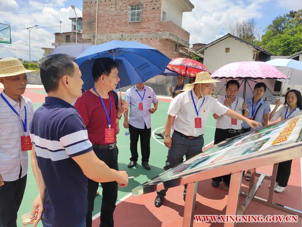 新圩鎮(zhèn)人大組織代表調(diào)研鄉(xiāng)村振興建設(shè)工作2.jpg