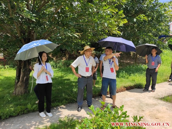 新圩鎮(zhèn)人大組織代表調(diào)研鄉(xiāng)村振興建設(shè)工作3.jpg