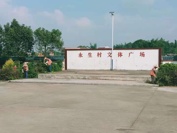 微信圖片_20190809084100.jpg